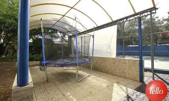 Imagem 5: São Paulo - Apartamento Padrão - Brás