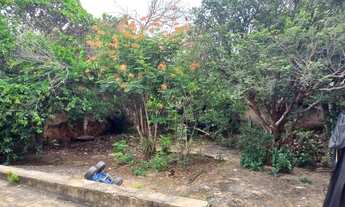 Imagem 7: Araçatuba - Casa - Jardim Sumaré