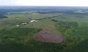 Imagem 5: Fazenda em Santa Rita. 100 mil por alqueire