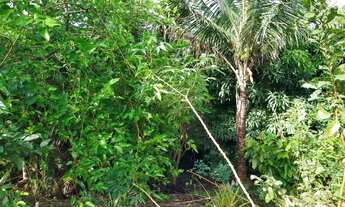 Imagem 4: Vende- chácara Chácara com venda por R$80.000