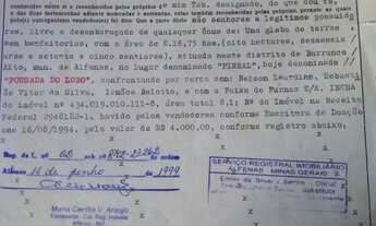 Imagem 3: Sitio no municipil de alfenas de area nativa,8.16 alqueires