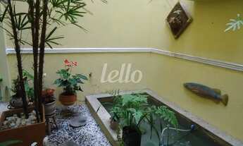 Imagem 5: São Paulo - Casa Padrão - Santo Amaro