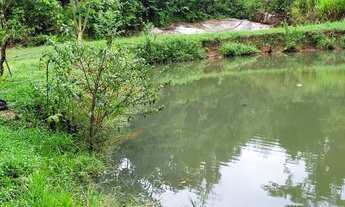 Imagem 6: Chácara 3 alqueires