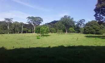 Imagem 3: Excelente Sítio aproximadamente 6KM de Agudos