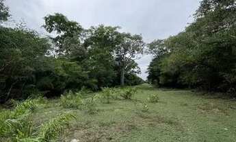 Imagem: 136. Àrea Bruta entre Miranda e Corumbá