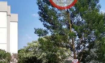 Imagem: Terreno Pedras Altas no São Luiz