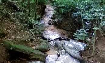 Imagem 3: Sitio em Domingos Martins