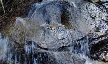 Imagem: Sitio em Domingos Martins