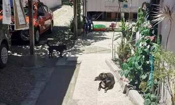 Imagem 2: Casa para Venda - 440m², 2 dormitórios, Tristeza