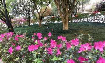 Imagem 7: Praça dos franceses, completa area de lazer, muito espaço, tem uma praça no predio