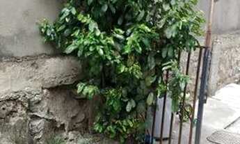 Imagem 5: Vendo Casa Taquara