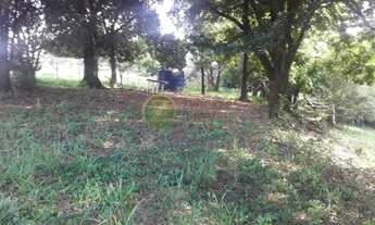 Imagem 5: Excelente Sítio aproximadamente 6KM de Agudos