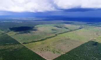 Imagem 2: Fazenda em Santa Rita. 100 mil por alqueire