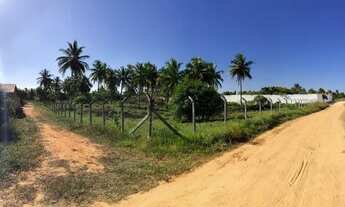 Imagem 5: Terreno no Povoado Areia Branca - zona de expansão