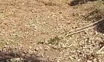 Imagem 2: Vende-se terreno em nobres. Ótimo preço