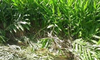 Imagem 2: Fazenda/Fazendinha/Sítio 90 Hectares, 900.000m2, MGC383, São Brás do Suaçui - MG