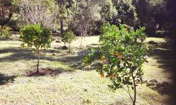 Imagem 3: SITIO EM NOVA PETRÓPOLIS