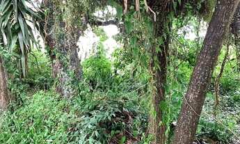 Imagem: Terreno plano à venda em Jurerê Internacional