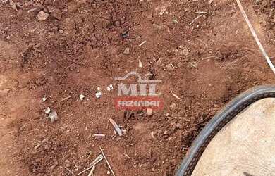 Imagem 4: Fazenda 62 alqueires (300,08 hectares ) Piracanjuba - GO