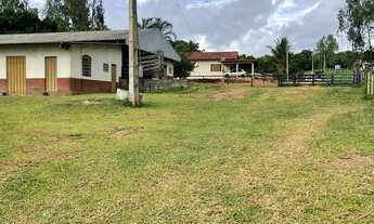 Imagem 4: Terra boa em Heitoraí( ótima estrutura