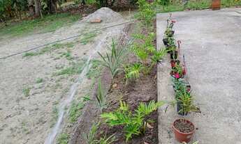 Imagem 14: Sítio à 9km de Laje/Ba