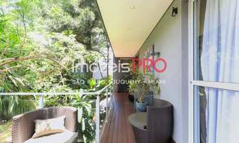 Imagem 7: Ibirapuera ao lado do Parque das bicicletas