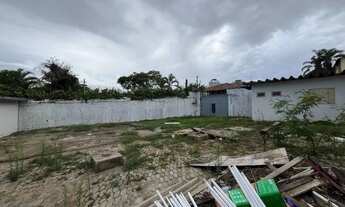 Imagem 5: Barracão para aluguel - Palmeiras, 2 quartos - Belo Horizonte