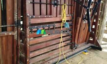 Imagem 4: FAZENDA À VENDA - 113 HECTARES - MORRO DA GARÇA (MG