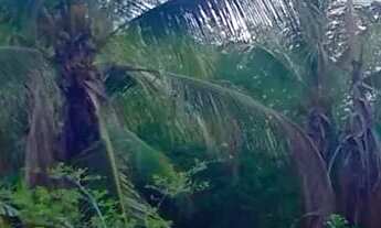 Imagem 2: Vende ou trouco Chácara com venda por R$80.000