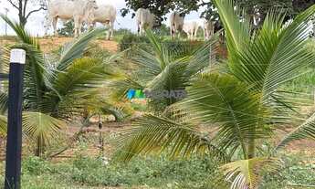 Imagem 7: FAZENDA À VENDA - 113 HECTARES - MORRO DA GARÇA (MG