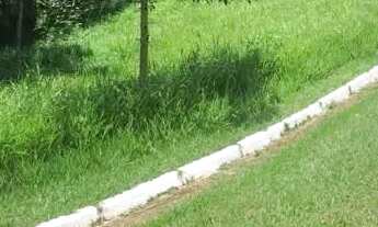 Imagem 3: AREA - JARDIM DOS PINHEIROS - SP