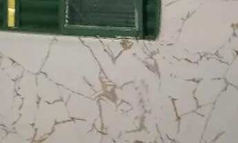 Imagem 9: Edícula pra alugar direto com Proprietário