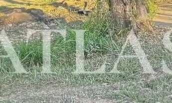 Imagem 7: Casa 2 quartos, 1600m2- Arrozal, Piraí/RJ