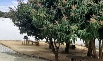 Imagem 13: Vendo 1 Casa e 1 terreno no Cidade Modelo