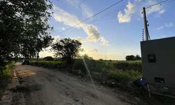 Imagem 5: Trevo do Francês