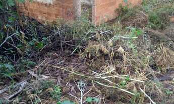 Imagem 6: Lote de 300m² no Maracanã