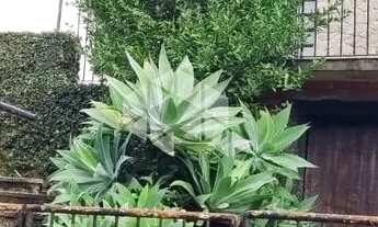 Imagem: Casa 2 dormitórios no Bairro Três Figueiras