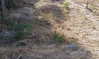 Imagem 7: Lote no curio Terreno / lote com venda por R$20.000