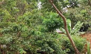 Imagem 5: Ágio de casa individual 38 mil