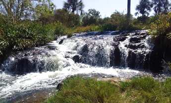 Imagem 3: Fazenda com cana próximo Uberlândia