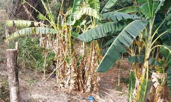 Imagem 4: Chacara em areias pedro leopoldo mil metros não tem escritura mas tem contrato ac.carro