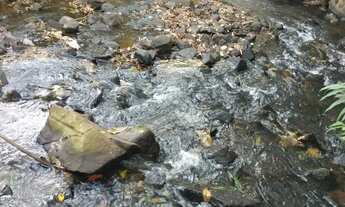 Imagem 5: Sitio em cajuru 6 alqueires 1.500.000.00 ( d