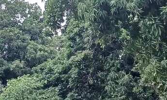 Imagem: Terreno Tatui