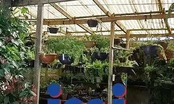 Imagem 3: Chácara a venda em São José dos Pinhas