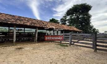 Imagem 7: Fazenda 100 alqueires 484 hectares margens represa ( Nova Aurora