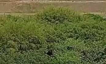 Imagem 7: Oportunidade Única! Terreno Pronto para Construir no Condomínio Residencial Mantiqueira