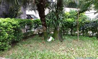 Imagem 6: CASA TÉRREA - ALTO DE PINHEIROS - SP