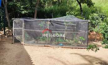 Imagem 6: Sítio em Rua Contagem - Caiapós - Contagem/MG