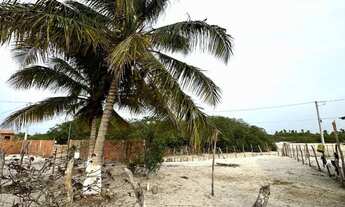 Imagem 4: Terreno fundo para o Rio em Santo Amaro do Maranhão