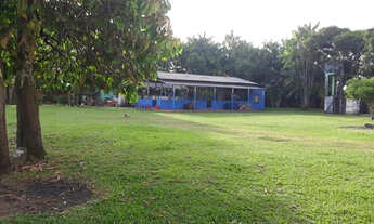 Imagem 5: Vendemos um terreno com 10.000m2 a 200m da Rodovia Mário Covas